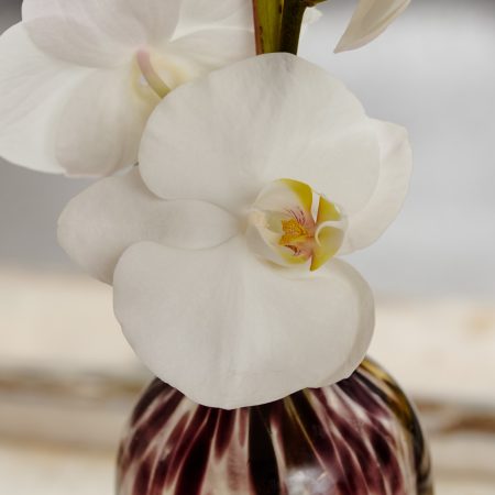 Orchidée Orchidée, par Votre Studio Floral, fleuriste à Bruxelles