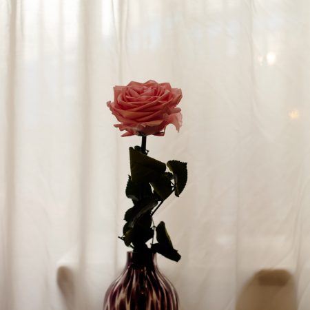 Rose éternelle Rose éternelle, par Votre Studio Floral, fleuriste à Bruxelles