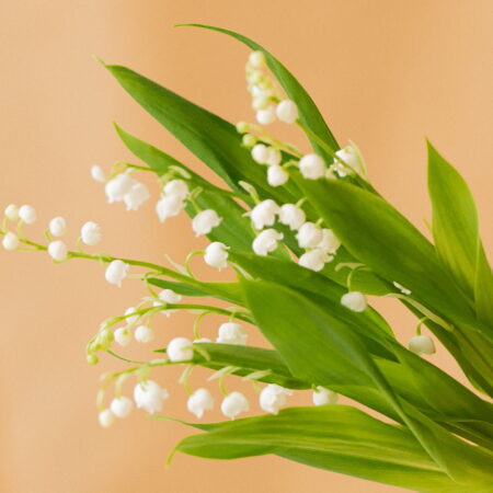 Brins de Muguet Brins de Muguet, par Votre Studio Floral, fleuriste à Paris