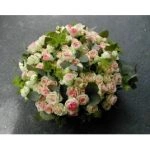 coussin rond enterrement rose funeste, par Tout Fleur Tout flamme, fleuriste à L'Haÿ-les-Roses
