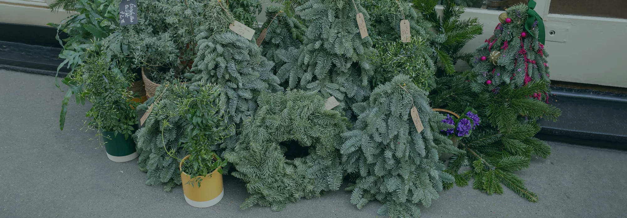 Les plus beaux Sapins de Noël livrés par votre artisan fleuriste