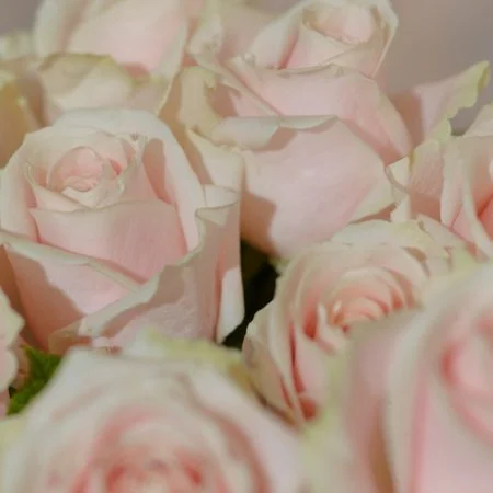 Bouquet de Roses roses, par Fleurs de Sel, fleuriste à La Bruyère
