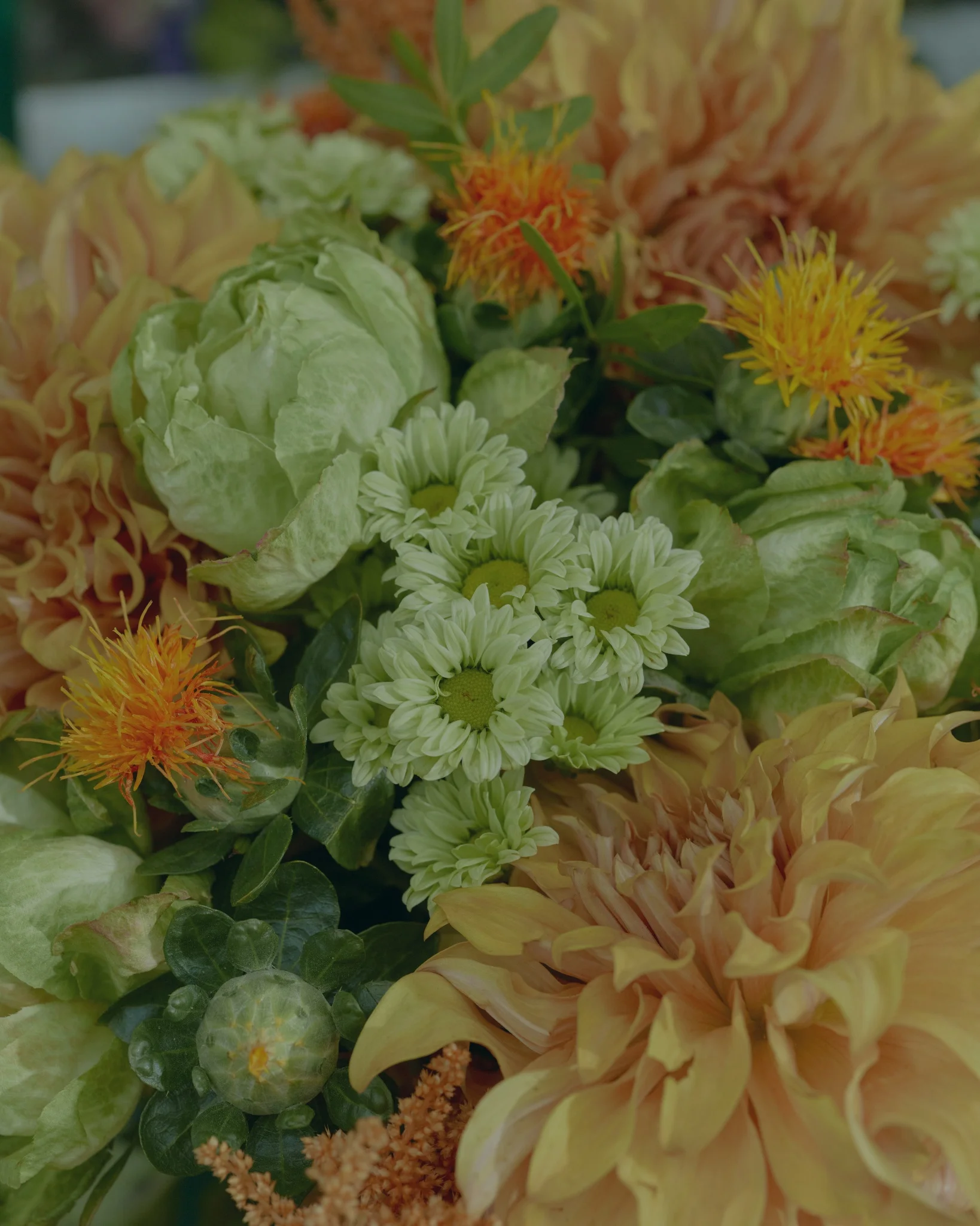 Pour la Fête des Grands-Pères, les plus belles fleurs livrées par votre artisan fleuriste