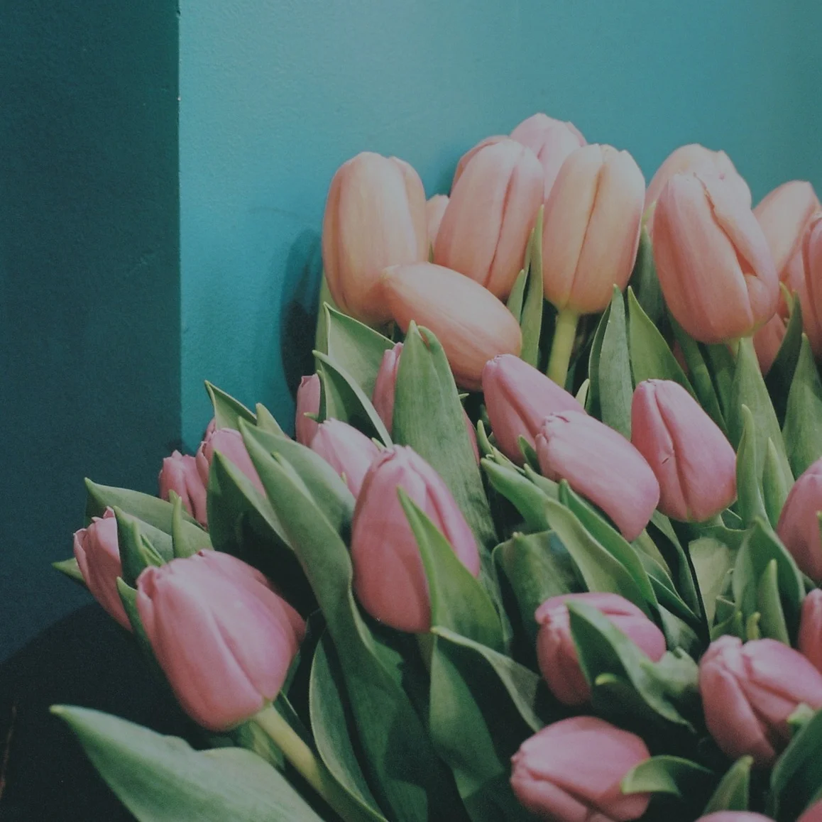 Les plus beaux bouquets de Tulipes livrés par votre artisan fleuriste