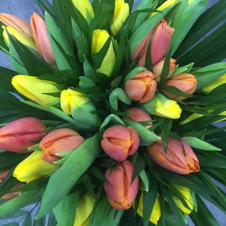 votre artisan fleuriste vous propose le bouquet : Bouquet de tulipes