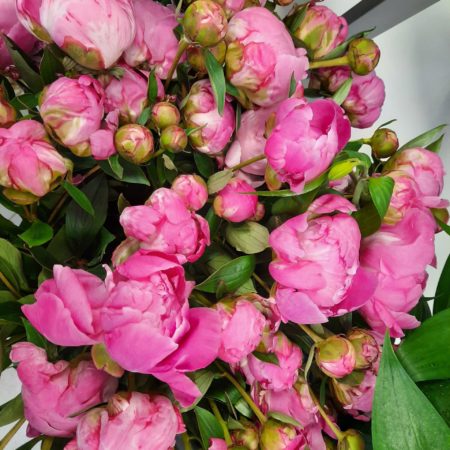 votre artisan fleuriste vous propose le bouquet : Pivoines