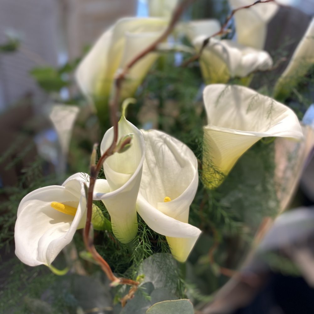 Petites Pepites De Saison ! produit local ! : Arums Blancs, par Magnolia Fleuriste, fleuriste à Antibes