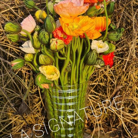 votre artisan fleuriste vous propose le bouquet : Bouquet "La Signature"