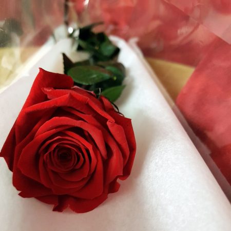 votre artisan fleuriste vous propose le bouquet : Rose éternelle sur tige