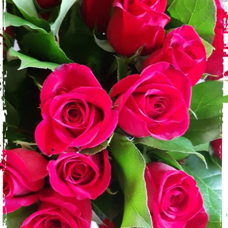 votre artisan fleuriste vous propose le bouquet : Roses de A La Rose D'Or Narbonne