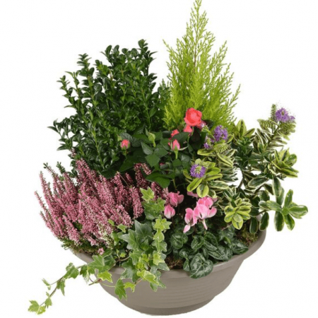 votre artisan fleuriste vous propose le bouquet : Coupe De Plantes