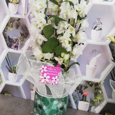 votre artisan fleuriste vous propose le bouquet : Orchidée Dendrobium