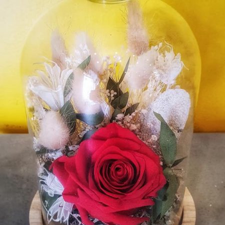 Cabinet de curiosité en fleurs séchées et stabilisées, par Ikigai fleurs, fleuriste à Saulx-les-Chartreux