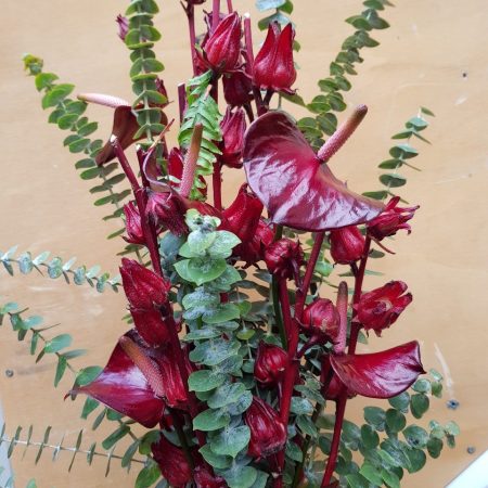 votre artisan fleuriste vous propose le bouquet : Composition Haute Rouge