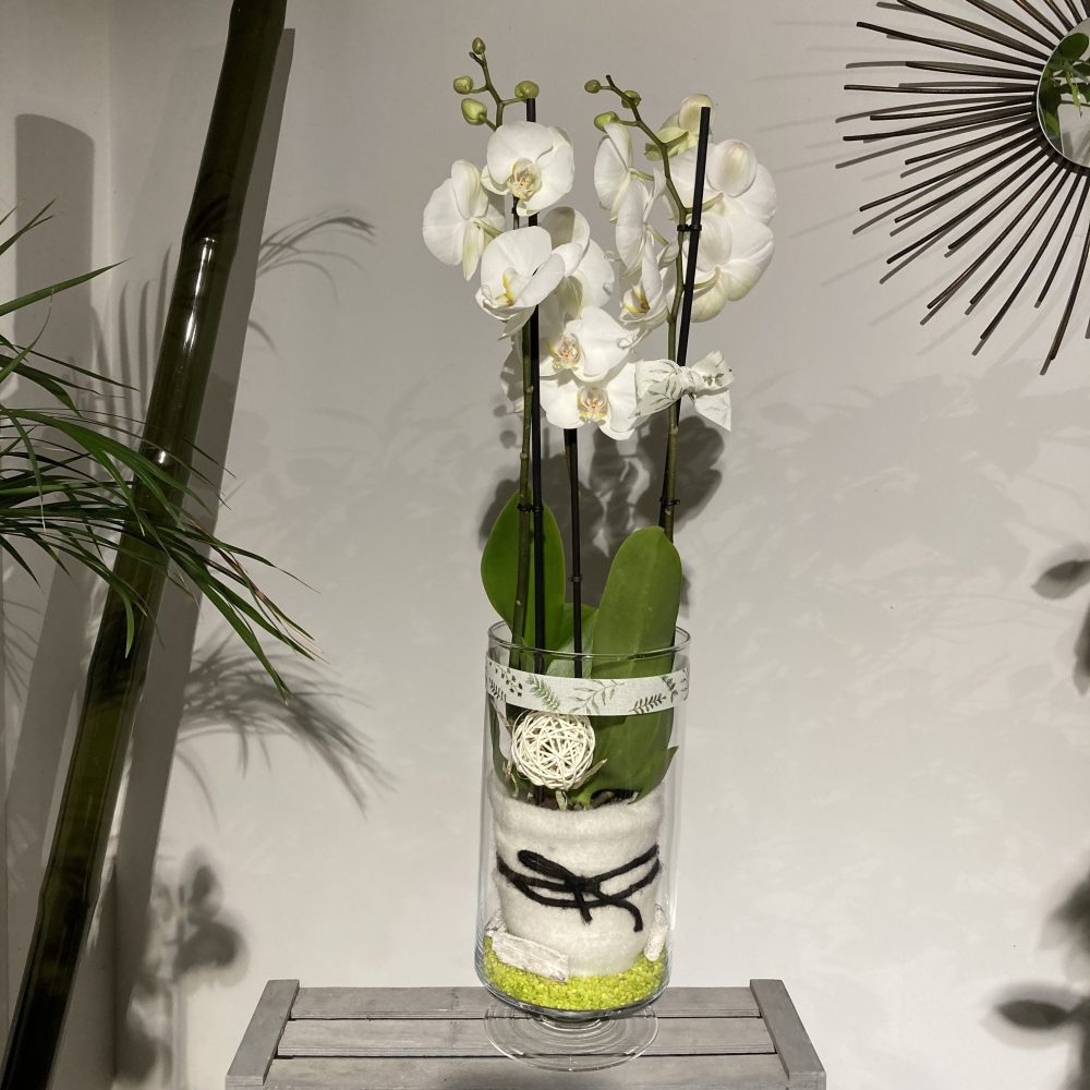 Verrerie D'Orchidee, par Au Pouvoir Des Fleurs, fleuriste à Saint-Martin-des-Champs