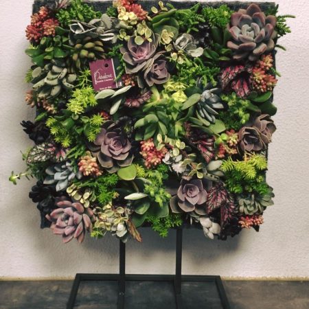 votre artisan fleuriste vous propose le bouquet : Tableau vivant