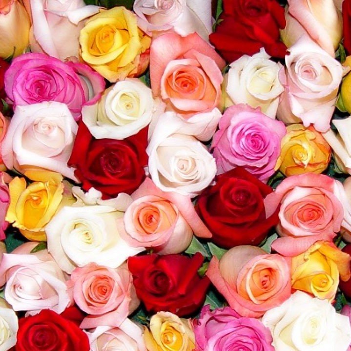 Bouquet de Roses couleurs variées, par Au jardin de Cécilia, fleuriste à Esbly