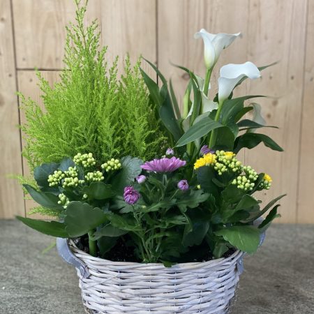 votre artisan fleuriste vous propose le bouquet : Coupe De Plantes De Saison