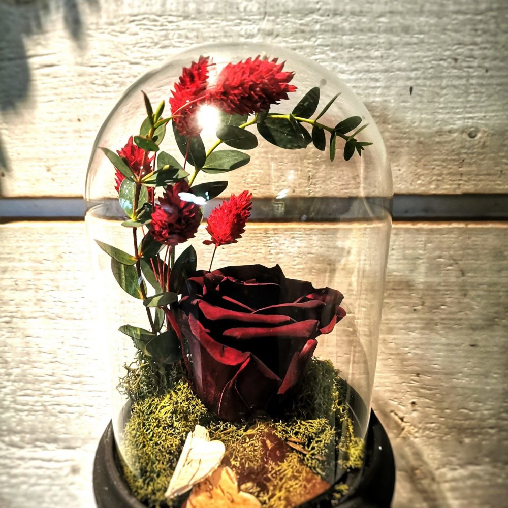 Rose Éternelle, par Art Végétal, fleuriste à Corbas