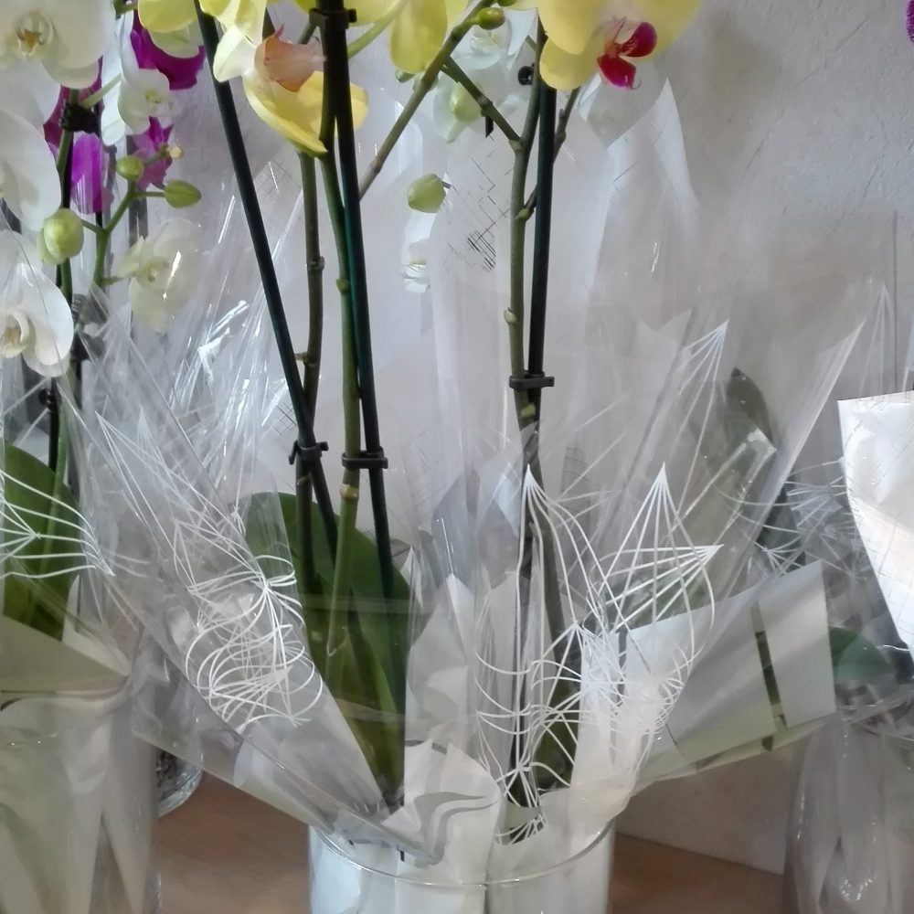 Orchidée, par Julie Fleurs, fleuriste à Carmaux