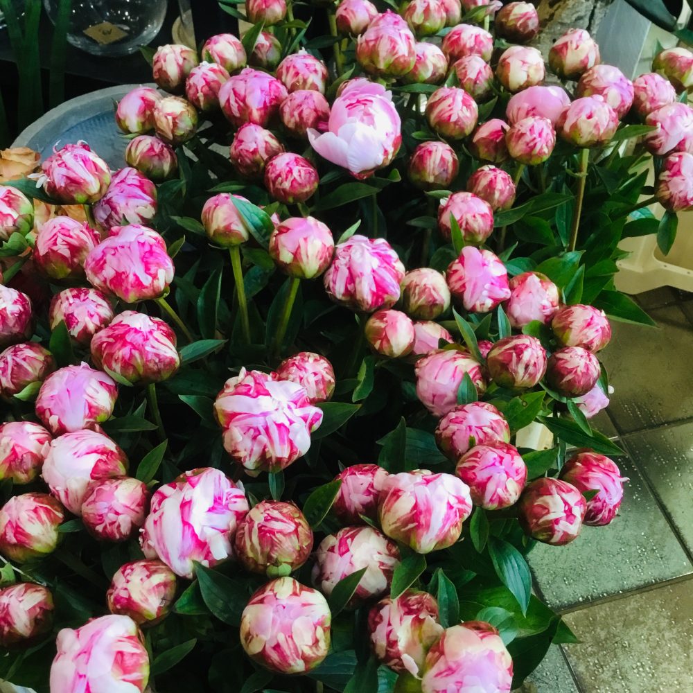 Bouquet de pivoines, par Fleurs et Tendances, fleuriste à Vandœuvre-lès-Nancy