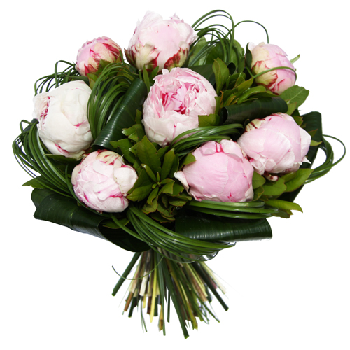 Bouquet de pivoines, par Passionnement, fleuriste à Carmaux
