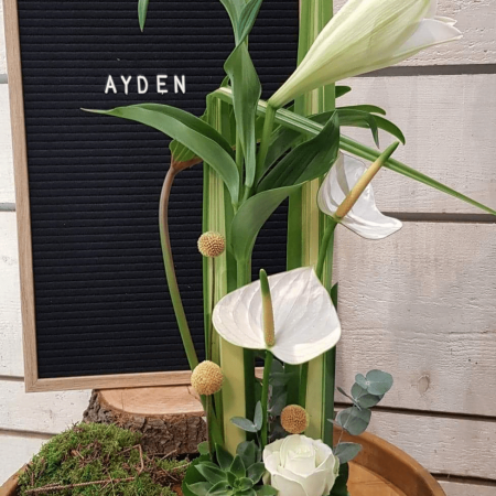 votre artisan fleuriste vous propose le bouquet : Composition Ayden