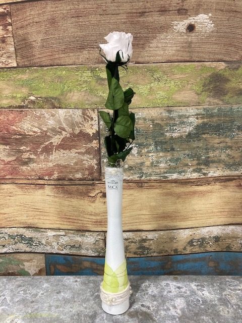 rose blanche stabilisée en vase, par Tropix Illkirch-Graffenstaden, fleuriste à Illkirch-Graffenstaden