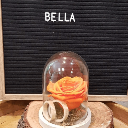 Rose éternelle Bella, par Art Végétal, fleuriste à Corbas