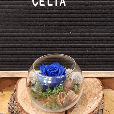 Rose éternelle Celia, par Art Végétal, fleuriste à Corbas