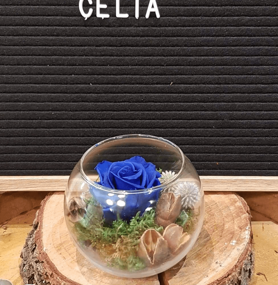 Rose éternelle Celia, par Art Végétal, fleuriste à Corbas