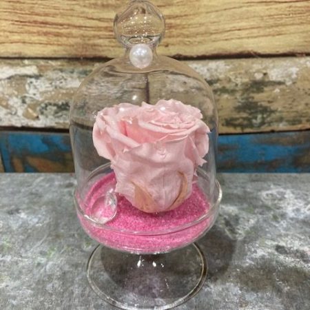 votre artisan fleuriste vous propose le bouquet : rose stabilisée rose en cloche