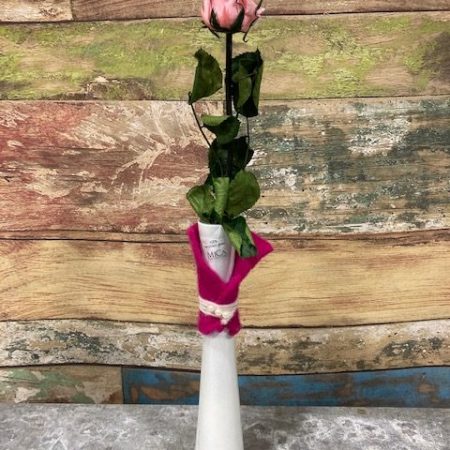 votre artisan fleuriste vous propose le bouquet : rose rose stabilisée en vase