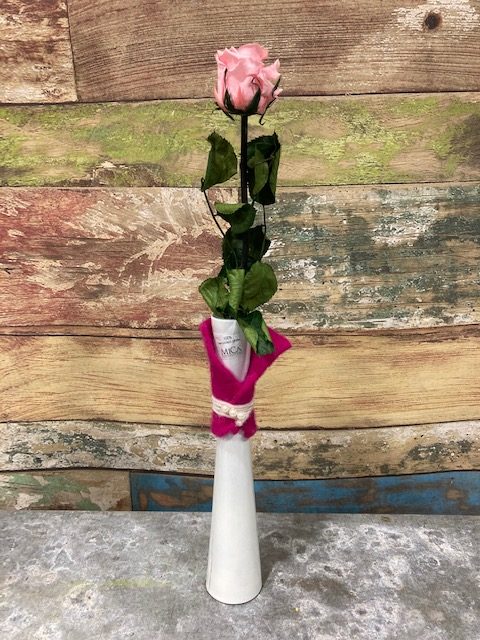 rose rose stabilisée en vase, par Tropix Illkirch-Graffenstaden, fleuriste à Illkirch-Graffenstaden