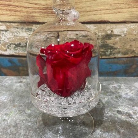votre artisan fleuriste vous propose le bouquet : rose rouge stabilisée en cloche