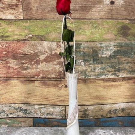 votre artisan fleuriste vous propose le bouquet : rose rouge stabilisée en vase