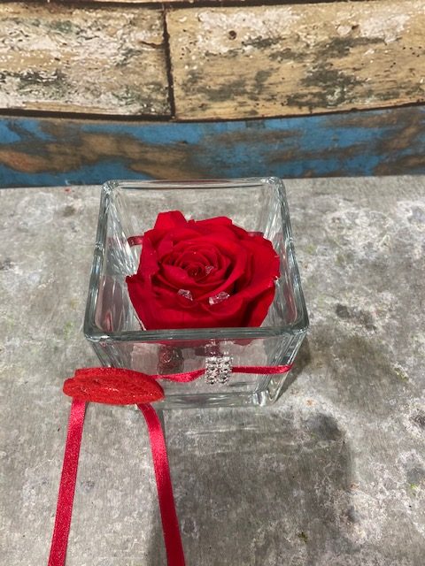 rose stabilisée de couleur rouge en verrerie carrée, par Tropix Illkirch-Graffenstaden, fleuriste à Illkirch-Graffenstaden