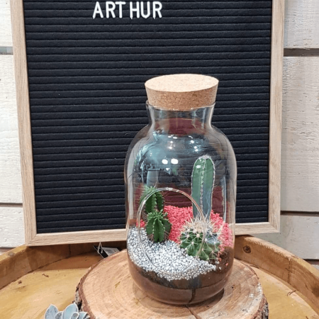 Terrarium Arthur, par Art Végétal, fleuriste à Corbas