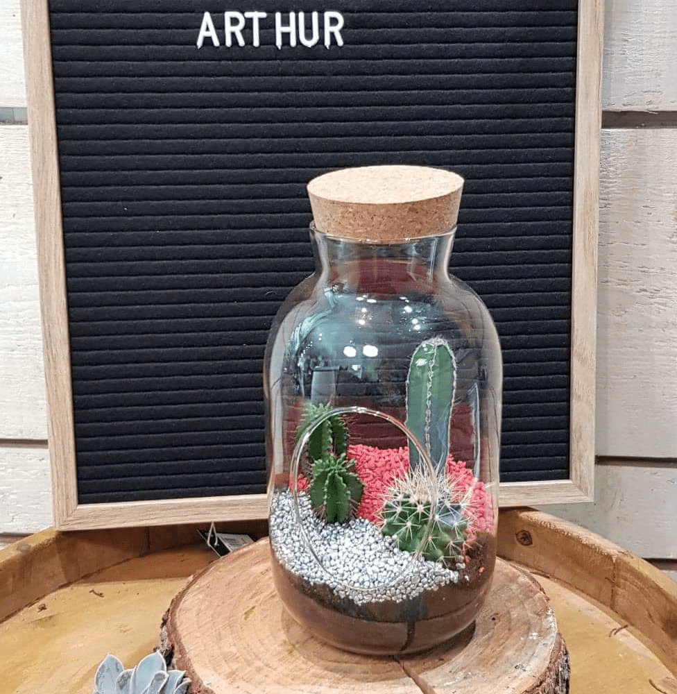 Terrarium Arthur, par Art Végétal, fleuriste à Corbas