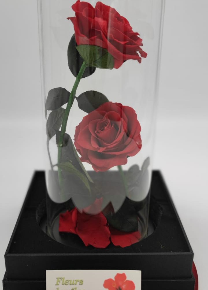 Rose éternelle sous cloche + box, par Fleurs des îles, fleuriste à Grigny