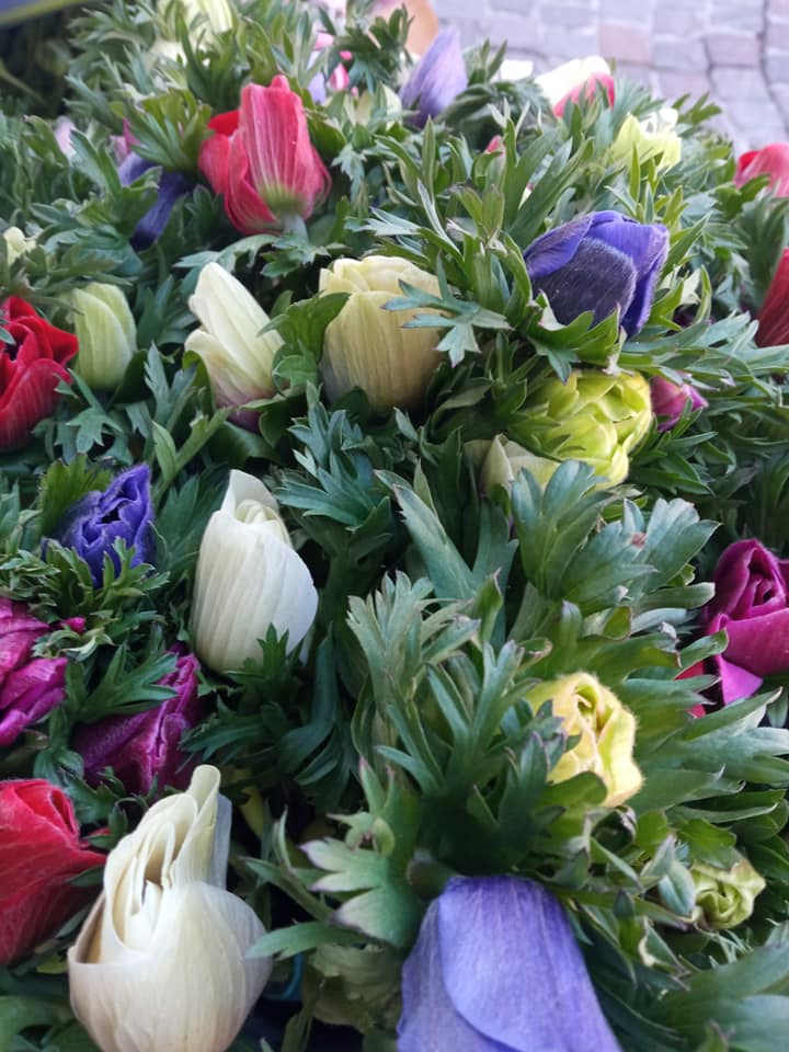 Bouquet d'anémones en production française, par Camomille Fleuriste Nomade, fleuriste à Rivières
