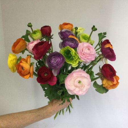 votre artisan fleuriste vous propose le bouquet : Renoncules