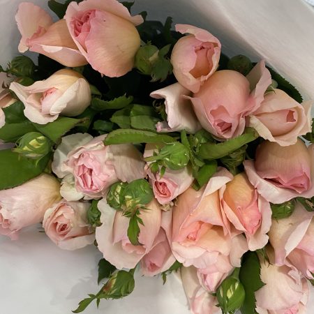 votre artisan fleuriste vous propose le bouquet : Des roses … encore des roses Un intemporel toujours élégant.
