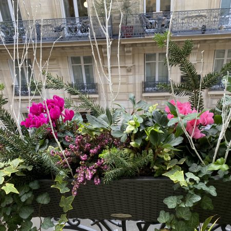 votre artisan fleuriste vous propose le bouquet : Une jardinière fleurie pour égayer vos fenêtres et votre terrasse