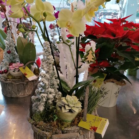 votre artisan fleuriste vous propose le bouquet : Composition hivernale