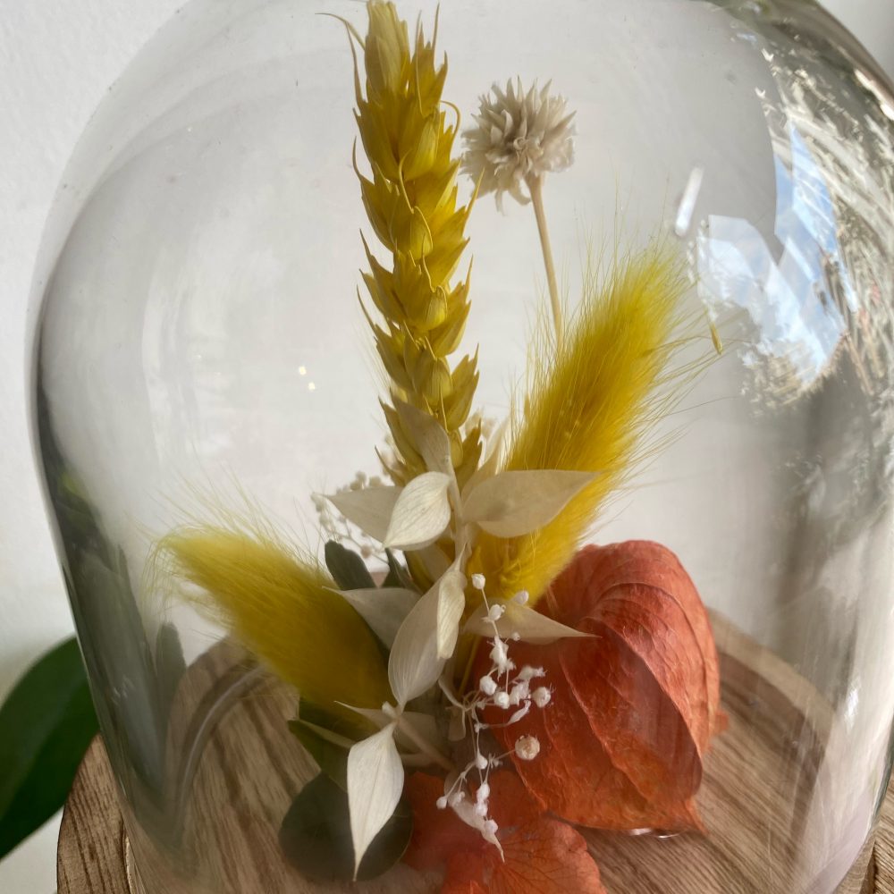 Cloche Bonheur Intemporel - Medium, par Magnolia Fleuriste, fleuriste à Antibes