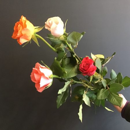 votre artisan fleuriste vous propose le bouquet : Bouquet de roses