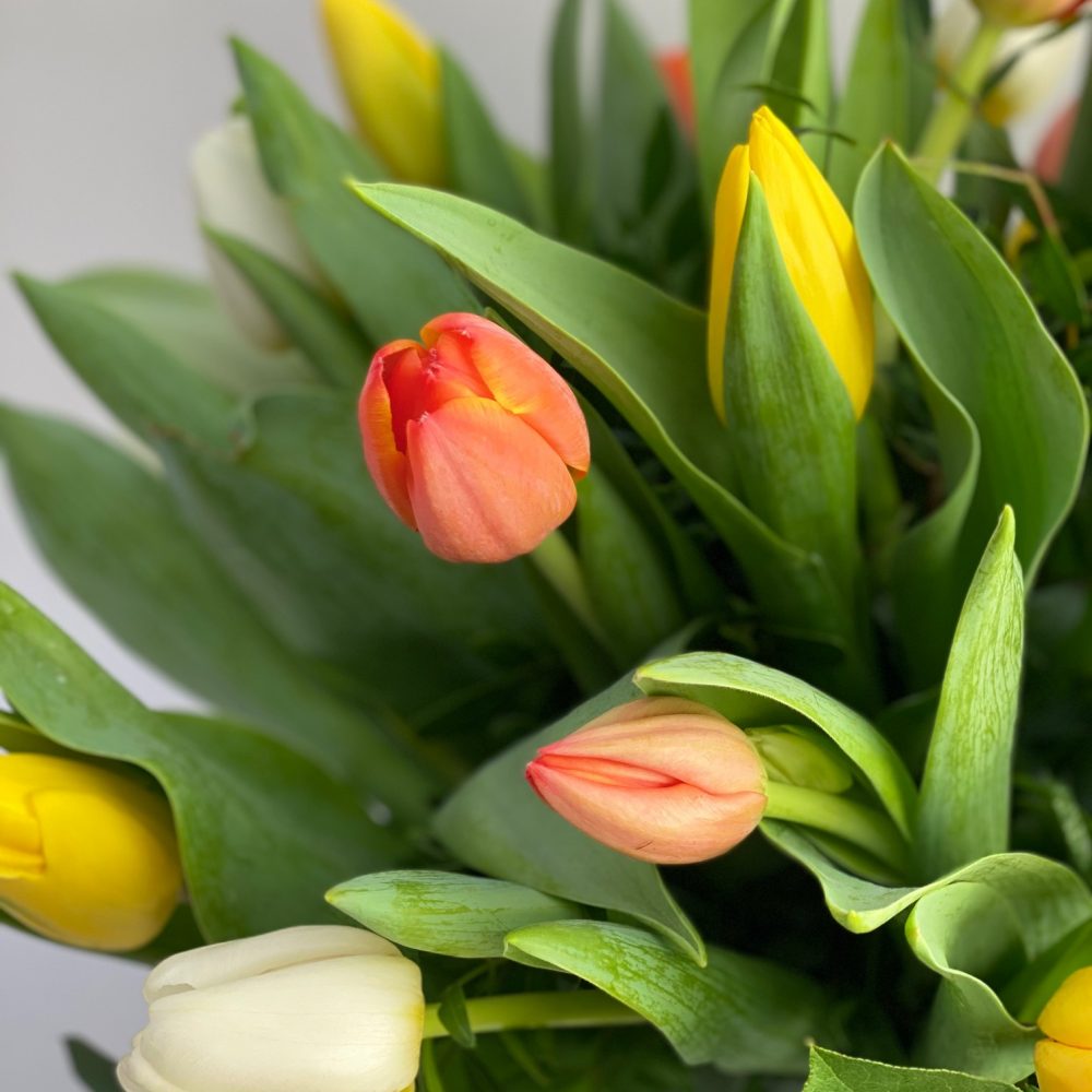 Bouquet de tulipes, par Fleurs Kammerer, fleuriste à Illkirch-Graffenstaden