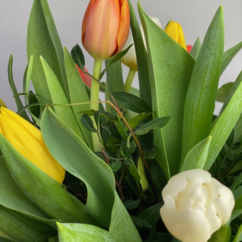 Bouquet de tulipes, par Fleurs Kammerer, fleuriste à Illkirch-Graffenstaden