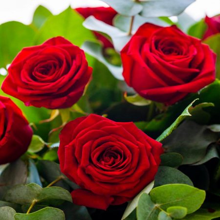 votre artisan fleuriste vous propose le bouquet : Roses rouges - offre spéciale